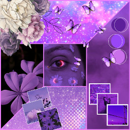 aesthetic collage violet butterfly flowers freetoedit ccpurpleveryperiaesthetic purpleveryperiaesthetic