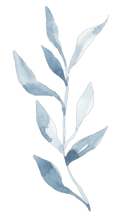 white whiteaesthetic blue blueaesthetic lightblueaesthetic lightblue pastelblue babyblue scrapbook bulletjournal branch plant botanical leaf leaves freetoedit