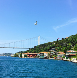 freetoedit istanbul travel turkey nature landscape sea followme objektifimden day keşfet