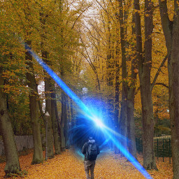 freetoedit portal lensflare person personwalking autumnpath autumn ircautumnpath