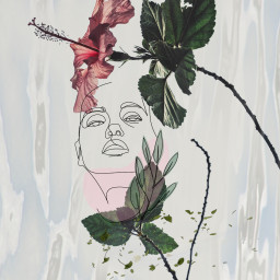 imade feminist vintageaesthetic womanportrait beautythroughmyeyes floral flower collage picsartgoldeffects freetoedit