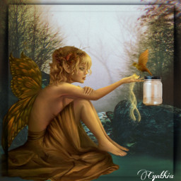 magic jar fantasy fairy forest bird editbyme freetoedit ircmagicglassjar magicglassjar