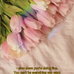freetoedit tulips pink green flowers quote aesthetic rainbow reflections cute springaesthetic