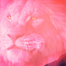 freetoedit lion mountain moon background pink eccolorpink colorpink