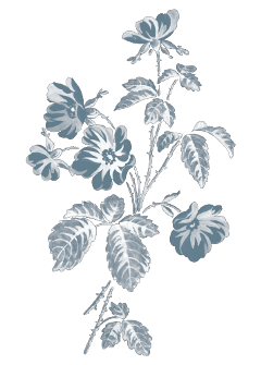 blue grey greyaesthetic lightgrey silver blueaesthetic lightblue pastelblue babyblue lightblueaesthetic flowers flower bouquet bluegrey freetoedit