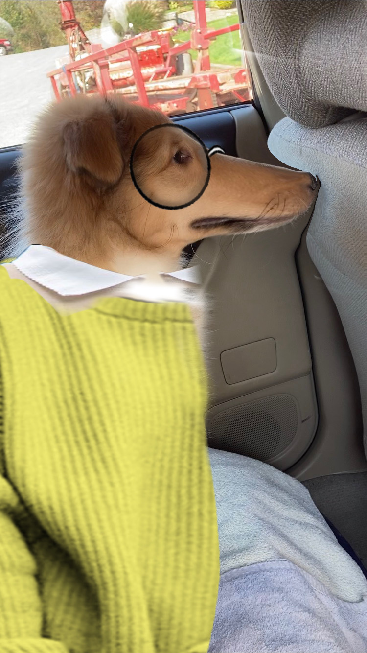 saved-to-drive