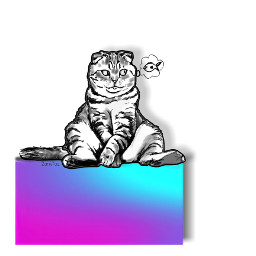 purple box spell replay cat mydrawing outlines lineart sittingcat daydreaming aesthetic simple freetoedit
