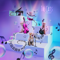 madewithpicsart madebyme myedit cats band music stairs bubbles magical musical musicalnotes cute kitten fcmasterschallengeshareyourpets masterschallengeshareyourpets