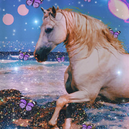 freetoedit horse beach spring aesthetic butterflies moon whitehorse glitter sparkles purple smallthings beautiful ecamiintherightplace amiintherightplace