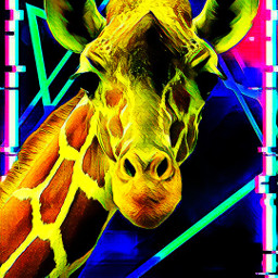 neon giraffe shapes colors


*disclaimer: freetoedit colors