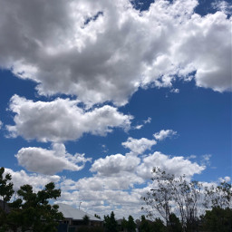 freetoedit skyphotography sky clouds cloudaesthetic cloudphotography blue white summer cloudy