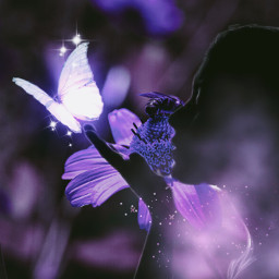 purple violet color beautiful beauty picsart myedit lights magic magical splash wind freetoedit
