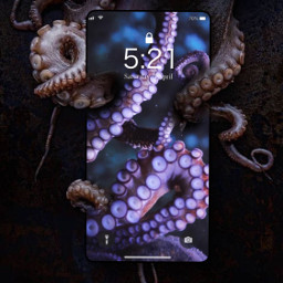 seacreatures sealife phonewallpaper squid purple effect nature rcphonescreenwallpaper phonescreenwallpaper freetoedit