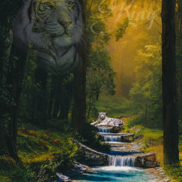 king kingofanimals kingofthejungle jungleking tiger whitetiger jungle nature waterfall trees tree lifeisbeautiful pinkypower pinkypower333 louloucalastical louloucàlastical freetoedit