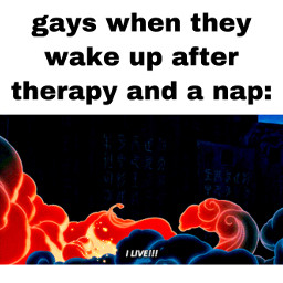 gaymemes memes meme gay lgbtqiap therapy