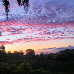 sunset cloudsandsky skylover altocumulus naturephotography clouds pinksky cottoncandyclouds hometown puertorico freetoedit local