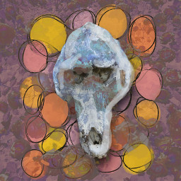 freetoedit nature animal skull art aestheticedit fyp album albumcover ecaestheticdoodleoverlays aestheticdoodleoverlays