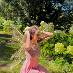 freetoedit summer replayedit fairy fae wings winx magic butterfly pretty pink flowers