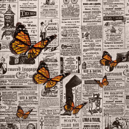 freetoedit newspaper vintage vintagenewspaper butterfly butterflies vintagebutterflies pretty beauty beautiful beautifulvintage paper vintagebackground lovevintage prettyvintage wallpaper background