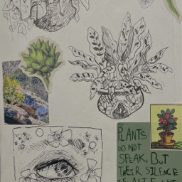 sketchbook art drawing plants plantcore traditionalart penandink myart interesting local juicethegoose green