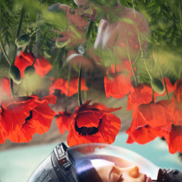 kiss helmet astronaut dream dreaming redflowers poppies freetoedit