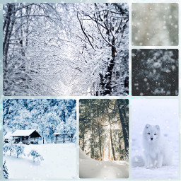 freetoedit winter snow dog challangw trees glam glitter vibe wintervibe snowvibe puppy house cavin cold vacation interesting art nature sky travel photography stars fog snowflakes ccwintermoodboard2021 wintermoodboard2021