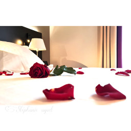 romantic room rose red bed love gift romantique chambre lit amour cadeau bainsdelavey switzerland suisse