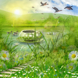 pond acup geese path grass daisies thesun ircblueberrybowl blueberrybowl freetoedit