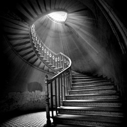 freetoedit gothic dark shady gloomy black shadowy stairs stairway spooky creepy horror scary fantasy fairytail aesthetic artsy retroaesthetic fyp fypシ fypppppppppppppppp