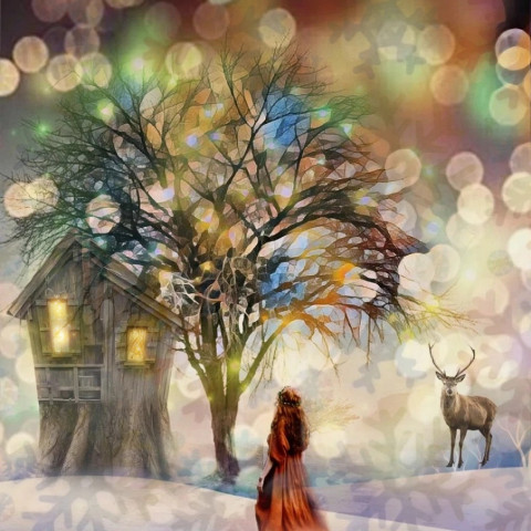 #freetoedit,#christmas,#winter,#december,#magical,#landscape,#myedit,#festive,#snow,#girl,#deer,#treeoflight,#local,#woods,#ecwinterthemedbackgrounds,#winterthemedbackgrounds,#winterwonderland