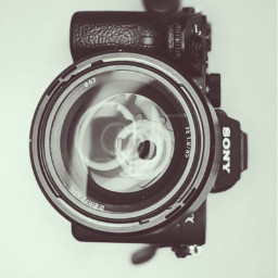 blackandwhite sony lens product photography portrait ledlight camera