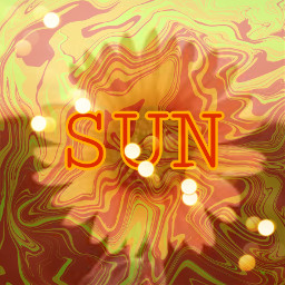 sunflover