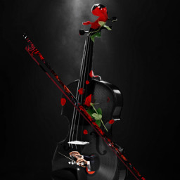 freetoedit violin musicalinstrument music redrose redroses kellydawn