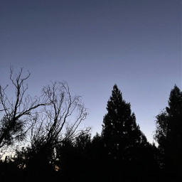freetoedit tree shadow sky moon aesthetic