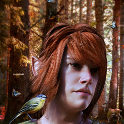 freetoedit manipulation shutterstock madewithpicsart fantasy magical forest elf guardian nature amazing colochis89
the colochis89