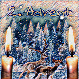 animal winter magic advent picture bild freetoedit