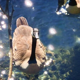 freetoedit animal outdoor lake water sparkles watersparkles geese goose swimming pcgiftsfrommothernature giftsfrommothernature
