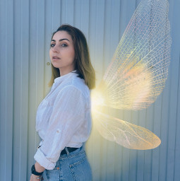 freetoedit butterfly fairywing wing wings aesthetic glowing