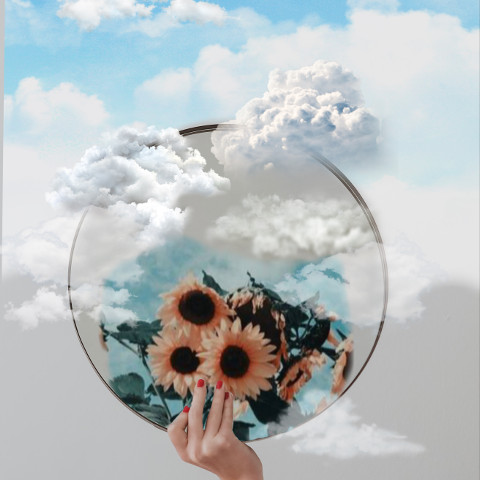 #freetoedit,#clouds,#sunflower,#mirror,#challenge,#itried,#irctimetoreflect,#timetoreflect