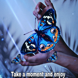 buterflies blue background wallpaper textmessage message picsart picsartbrasil effects love life beautiful beauty makeawesome portrait freetoedit