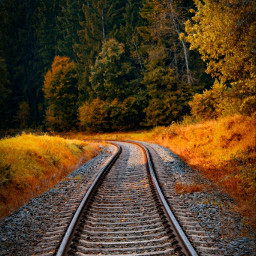 autumn railway travel landscape landscapephotography landscape_lovers autumn_colors trees splendid_earth
