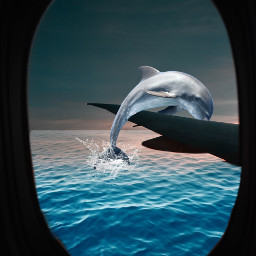 freetoedit airplanesindoe airplanewindowframe ocean dolphin ircoutfromairplanewindow outfromairplanewindow