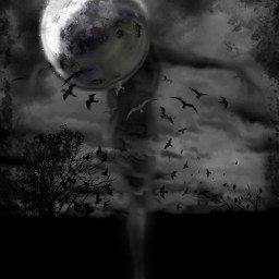 freetoedit nature landscape forest dark gothic gothaesthetic creepy scary horror horrorart horroredit ghost ghosts night nightsky moonlight silhouette women fantasy surreal darkness
