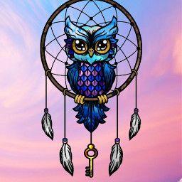 nocturnal owl wallpaper sky art edit freetoedit picsart aesthetic