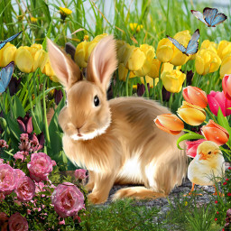 freetoedit replay bunny spring floral garden easterbunny