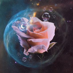 rose moon flower background backgrounds heypicsart psychedelic bubbles bubble stars freetoedit