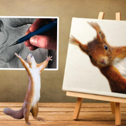 freetoedit art squirrels painting surreal composite animals