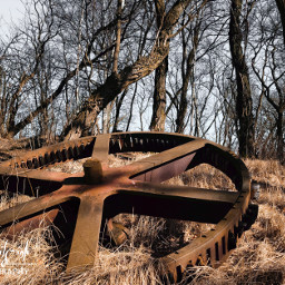 freetoedit photography rusty gear forest