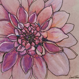 watercolor painting flower pink copicmarkers outlineart