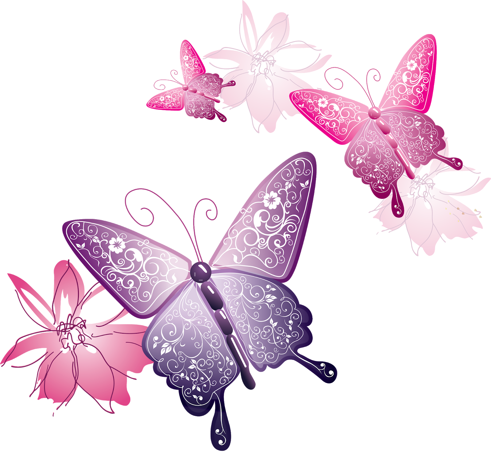 butterflys бабочки freetoedit sticker by @dzhinn13